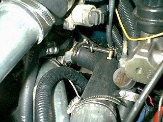 Inlet hose