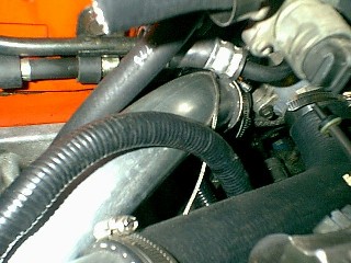 Lower hose